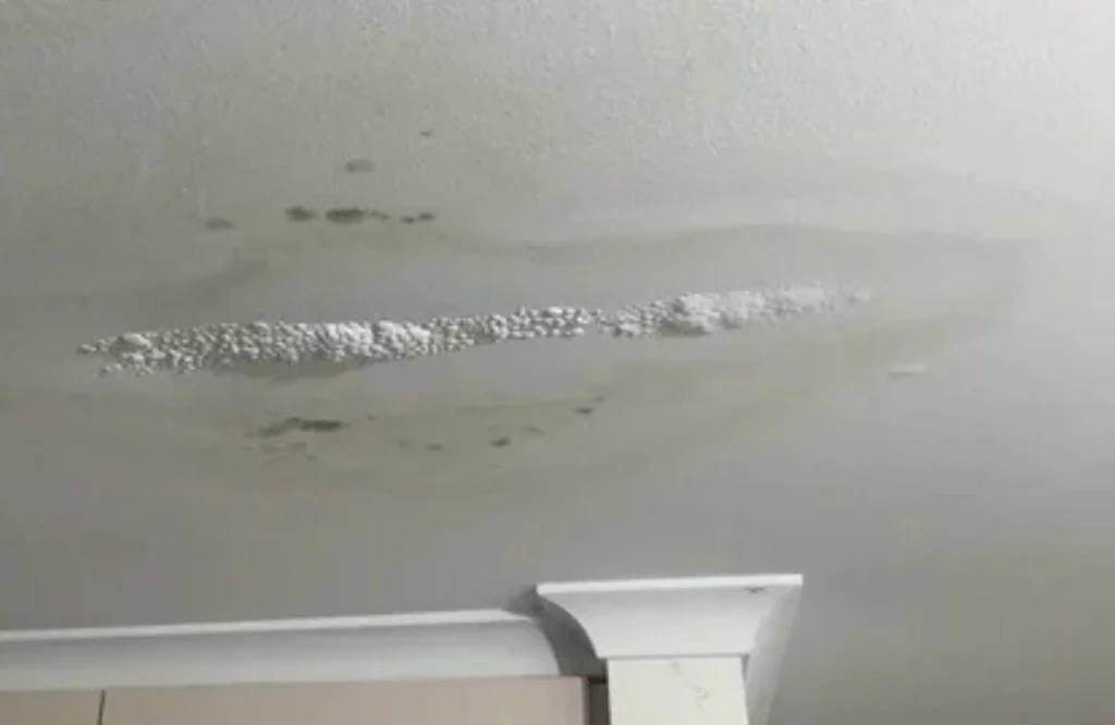 How to Spot & Fix Hidden Water Leaks Before Damage Spreads